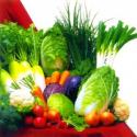 Eat 5 Servings Of Vegetables To Prevent Lung Cancer